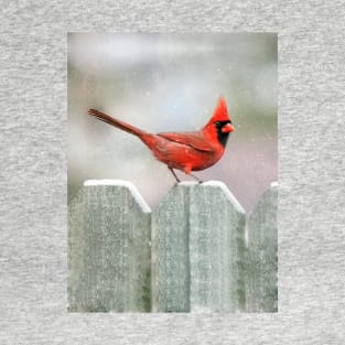 Cardinal Snowy Day T-Shirt